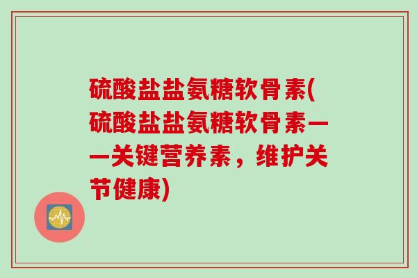 硫酸盐盐氨糖软骨素(硫酸盐盐氨糖软骨素——关键营养素，维护关节健康)