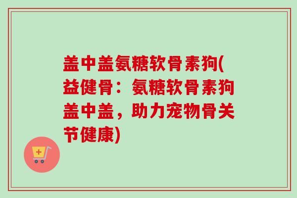盖中盖氨糖软骨素狗(益健骨：氨糖软骨素狗盖中盖，助力宠物骨关节健康)