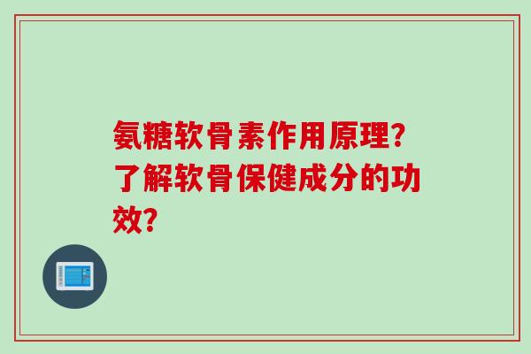 氨糖软骨素作用原理？了解软骨保健成分的功效？