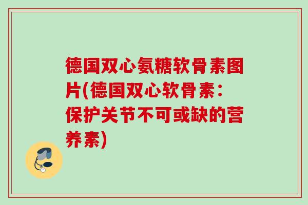 德国双心氨糖软骨素图片(德国双心软骨素：保护关节不可或缺的营养素)