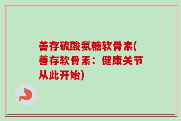 善存硫酸氨糖软骨素(善存软骨素：健康关节从此开始)