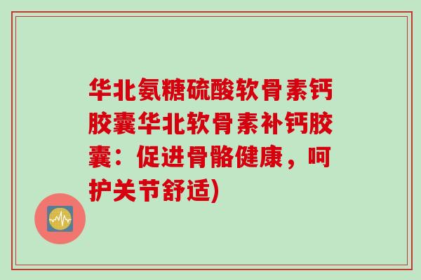 华北氨糖硫酸软骨素钙胶囊华北软骨素补钙胶囊：促进骨骼健康，呵护关节舒适)