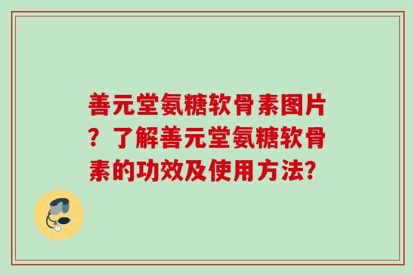 善元堂氨糖软骨素图片？了解善元堂氨糖软骨素的功效及使用方法？