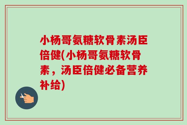 小杨哥氨糖软骨素汤臣倍健(小杨哥氨糖软骨素，汤臣倍健必备营养补给)