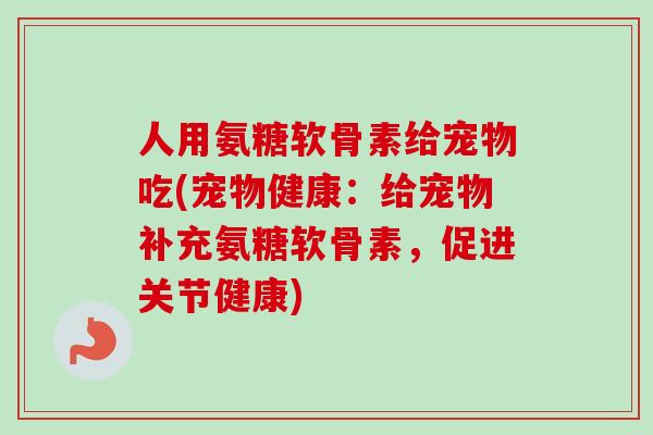 人用氨糖软骨素给宠物吃(宠物健康：给宠物补充氨糖软骨素，促进关节健康)