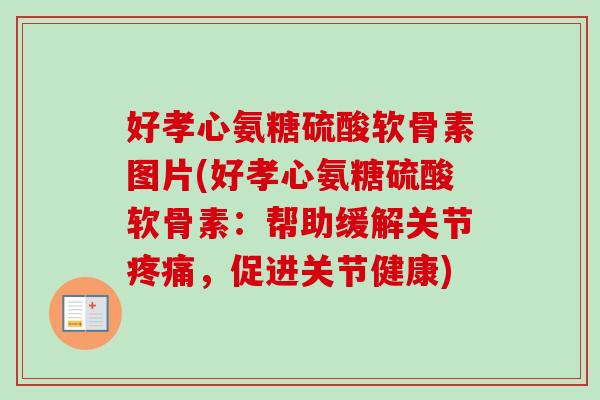 好孝心氨糖硫酸软骨素图片(好孝心氨糖硫酸软骨素：帮助缓解关节疼痛，促进关节健康)