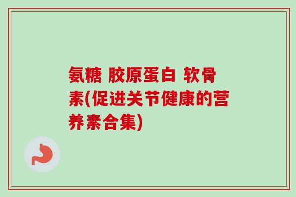 氨糖 胶原蛋白 软骨素(促进关节健康的营养素合集)