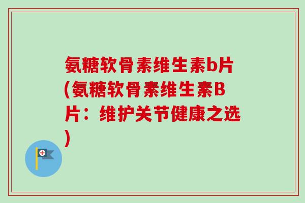 氨糖软骨素维生素b片(氨糖软骨素维生素B片：维护关节健康之选)