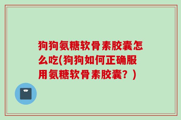 狗狗氨糖软骨素胶囊怎么吃(狗狗如何正确服用氨糖软骨素胶囊？)