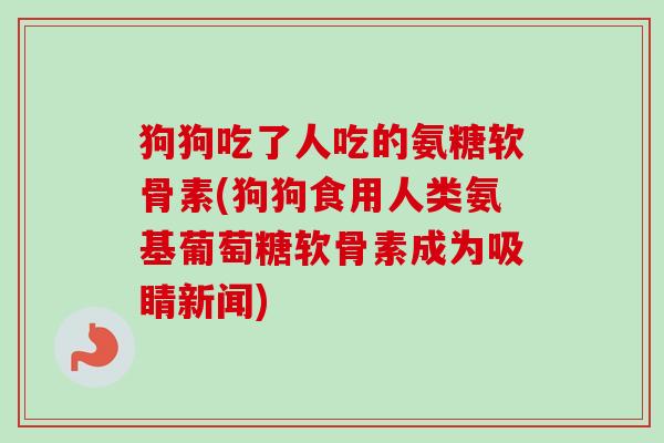 狗狗吃了人吃的氨糖软骨素(狗狗食用人类氨基葡萄糖软骨素成为吸睛新闻) 狗狗吃了人吃的氨糖软骨素(狗狗食用人类氨基葡萄糖软骨素成为吸睛新闻)
