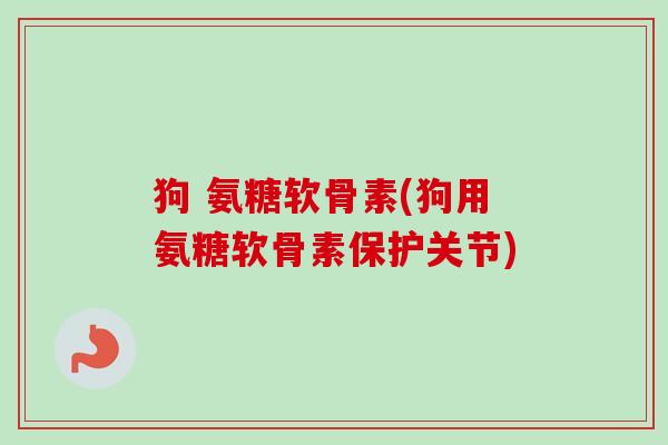 狗 氨糖软骨素(狗用氨糖软骨素保护关节)