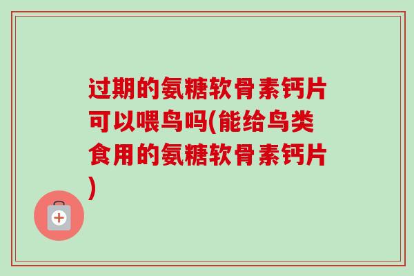 过期的氨糖软骨素钙片可以喂鸟吗(能给鸟类食用的氨糖软骨素钙片)
