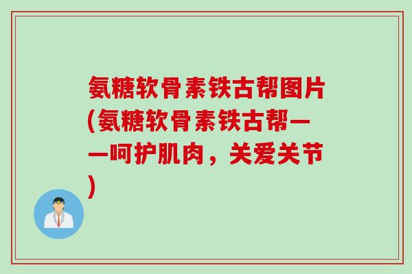 氨糖软骨素铁古帮图片(氨糖软骨素铁古帮——呵护肌肉，关爱关节)