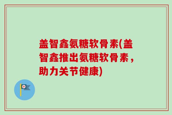 盖智鑫氨糖软骨素(盖智鑫推出氨糖软骨素，助力关节健康)