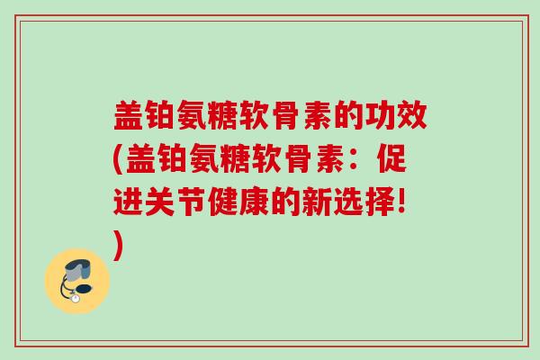 盖铂氨糖软骨素的功效(盖铂氨糖软骨素：促进关节健康的新选择!)