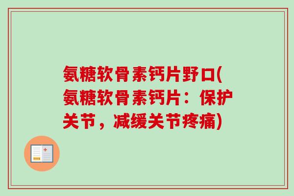 氨糖软骨素钙片野口(氨糖软骨素钙片：保护关节，减缓关节疼痛)