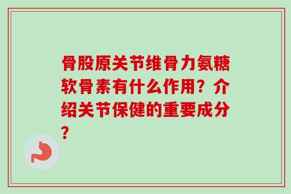 骨股原关节维骨力氨糖软骨素有什么作用？介绍关节保健的重要成分？