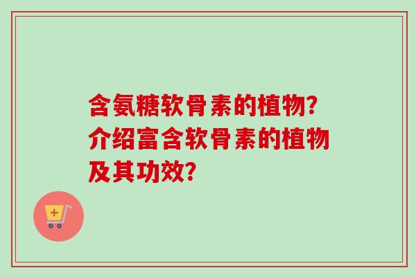 含氨糖软骨素的植物？介绍富含软骨素的植物及其功效？
