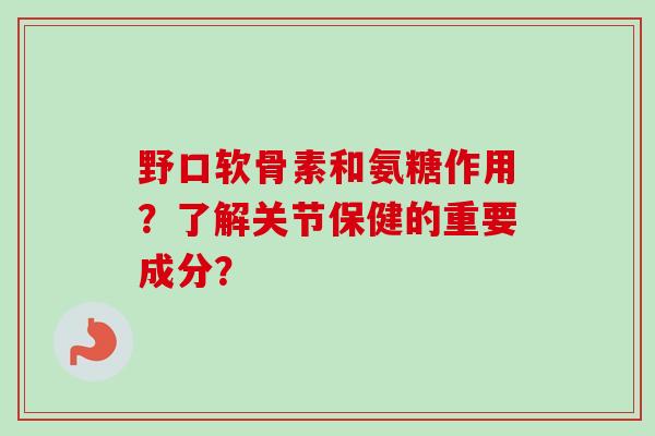 野口软骨素和氨糖作用？了解关节保健的重要成分？