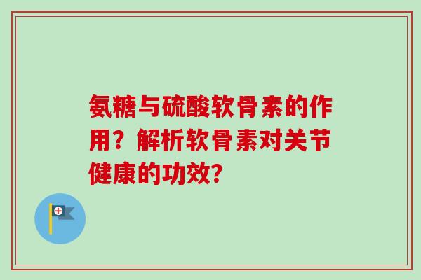 氨糖与硫酸软骨素的作用？解析软骨素对关节健康的功效？