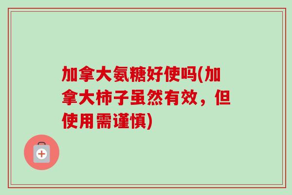 加拿大氨糖好使吗(加拿大柿子虽然有效，但使用需谨慎)