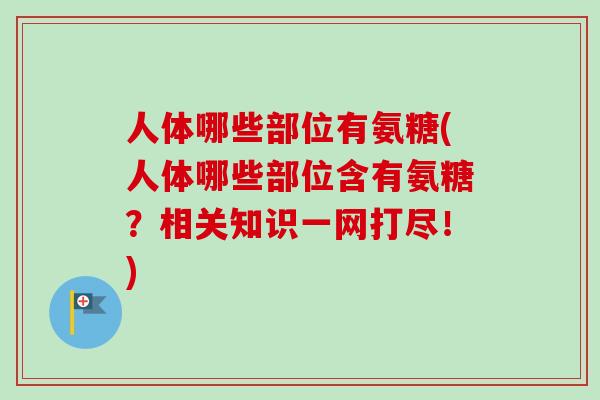 人体哪些部位有氨糖(人体哪些部位含有氨糖？相关知识一网打尽！)