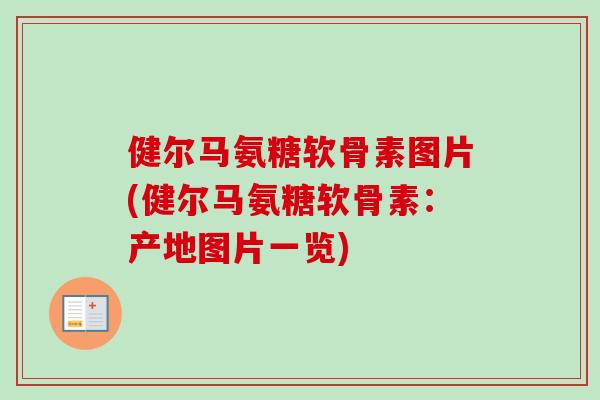 健尔马氨糖软骨素图片(健尔马氨糖软骨素：产地图片一览)