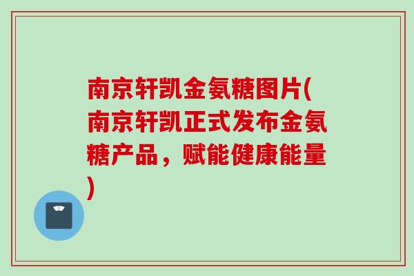 南京轩凯金氨糖图片(南京轩凯正式发布金氨糖产品，赋能健康能量)