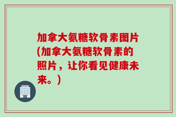 加拿大氨糖软骨素图片(加拿大氨糖软骨素的照片，让你看见健康未来。)