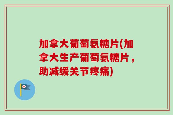 加拿大葡萄氨糖片(加拿大生产葡萄氨糖片，助减缓关节疼痛)