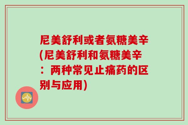 尼美舒利或者氨糖美辛(尼美舒利和氨糖美辛：两种常见止痛药的区别与应用)