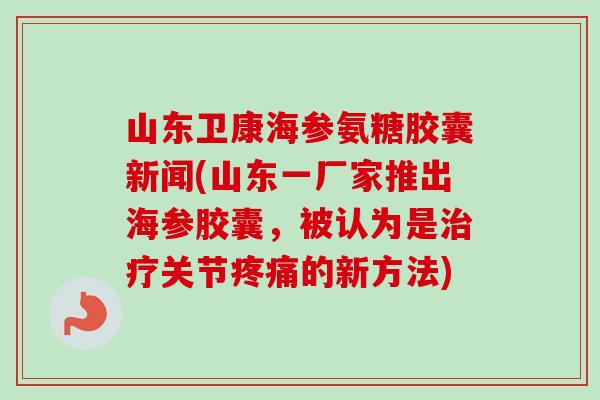 山东卫康海参氨糖胶囊新闻(山东一厂家推出海参胶囊，被认为是治疗关节疼痛的新方法)