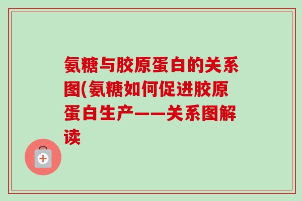 氨糖与胶原蛋白的关系图(氨糖如何促进胶原蛋白生产——关系图解读