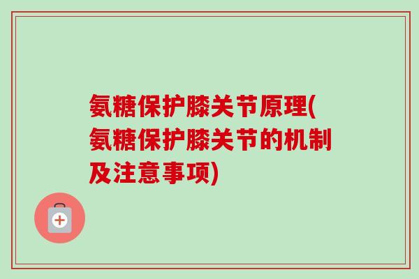 氨糖保护膝关节原理(氨糖保护膝关节的机制及注意事项)