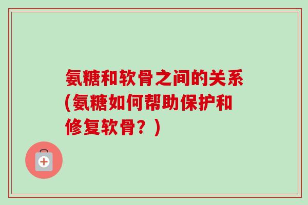 氨糖和软骨之间的关系(氨糖如何帮助保护和修复软骨？)