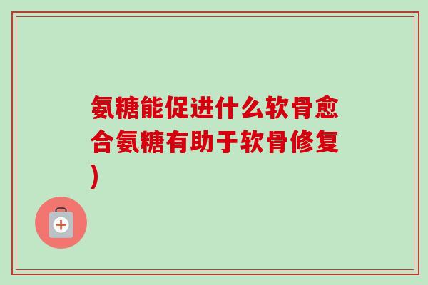 氨糖能促进什么软骨愈合氨糖有助于软骨修复)