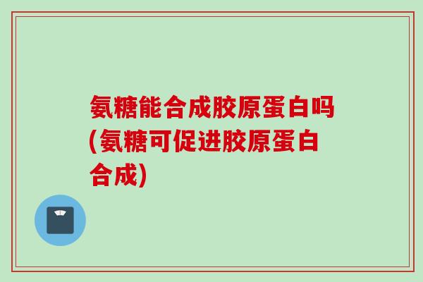 氨糖能合成胶原蛋白吗(氨糖可促进胶原蛋白合成)