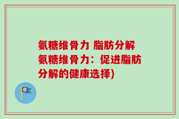氨糖维骨力 脂肪分解氨糖维骨力：促进脂肪分解的健康选择)