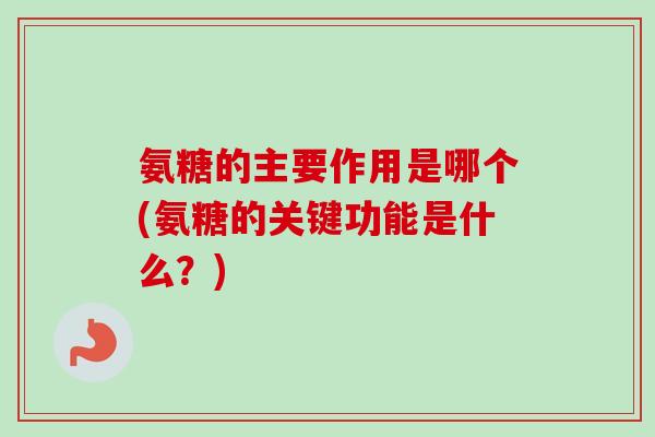 氨糖的主要作用是哪个(氨糖的关键功能是什么？)