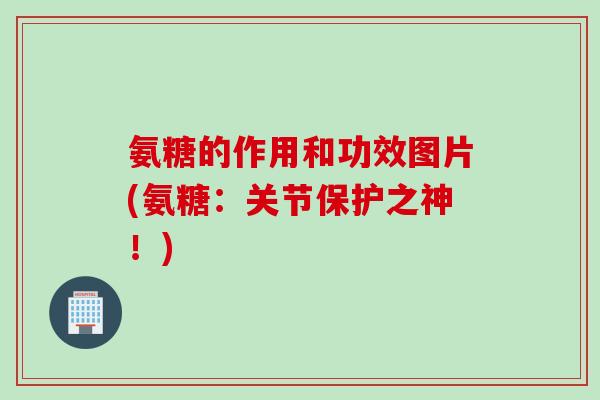 氨糖的作用和功效图片(氨糖：关节保护之神！)