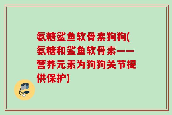 氨糖鲨鱼软骨素狗狗(氨糖和鲨鱼软骨素——营养元素为狗狗关节提供保护) 氨糖鲨鱼软骨素狗狗(氨糖和鲨鱼软骨素——营养元素为狗狗关节提供保护)