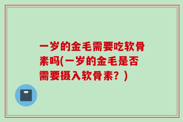 一岁的金毛需要吃软骨素吗(一岁的金毛是否需要摄入软骨素?) 一岁的金毛需要吃软骨素吗(一岁的金毛是否需要摄入软骨素?)