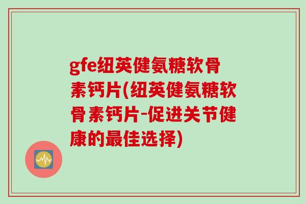 gfe纽英健氨糖软骨素钙片(纽英健氨糖软骨素钙片-促进关节健康的最佳选择)