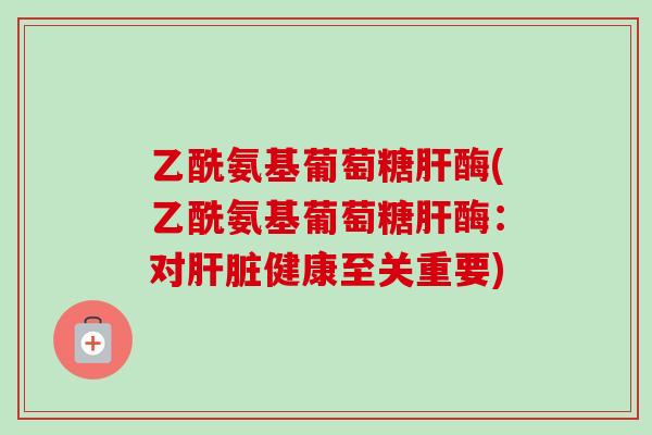 乙酰氨基葡萄糖肝酶(乙酰氨基葡萄糖肝酶：对肝脏健康至关重要)