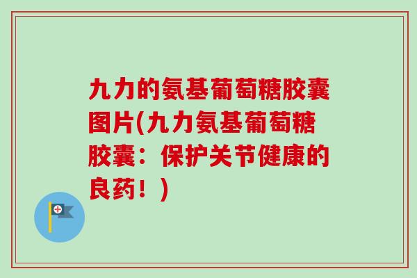 九力的氨基葡萄糖胶囊图片(九力氨基葡萄糖胶囊：保护关节健康的良药！)