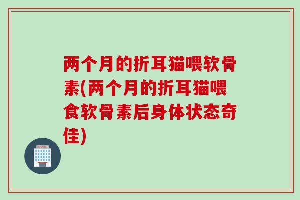 两个月的折耳猫喂软骨素(两个月的折耳猫喂食软骨素后身体状态奇佳)