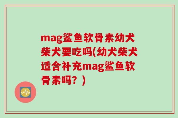 mag鲨鱼软骨素幼犬柴犬要吃吗(幼犬柴犬适合补充mag鲨鱼软骨素吗？)