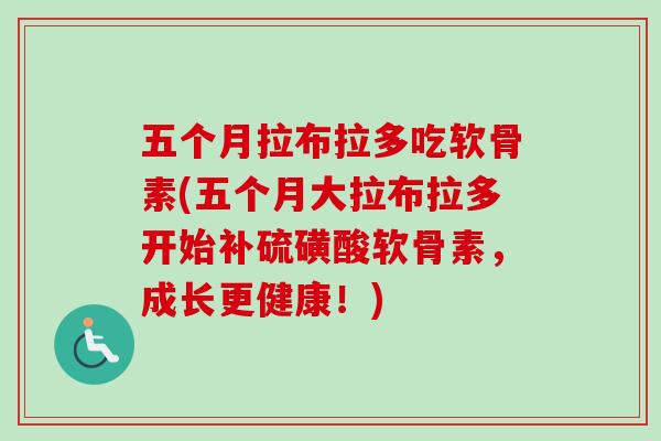 五个月拉布拉多吃软骨素(五个月大拉布拉多开始补硫磺酸软骨素，成长更健康！)