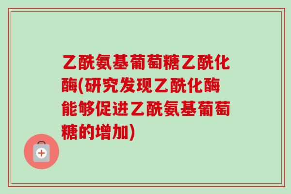 乙酰氨基葡萄糖乙酰化酶(研究发现乙酰化酶能够促进乙酰氨基葡萄糖的增加)