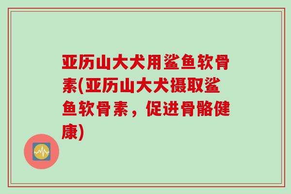 亚历山大犬用鲨鱼软骨素(亚历山大犬摄取鲨鱼软骨素，促进骨骼健康)
